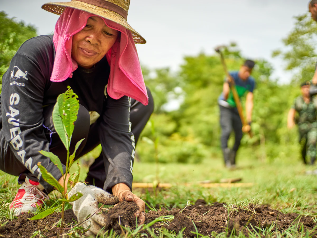A woman planting a tree with volunteers in the background