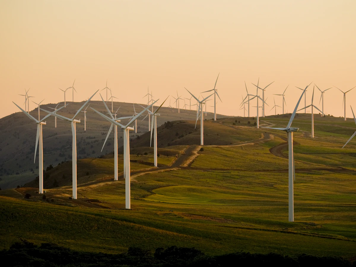 Wind turbines on green hills